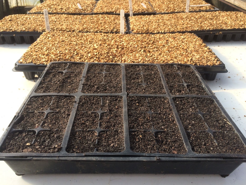 Seed Covering news post